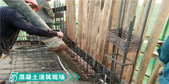 2025年澳门免费原料网