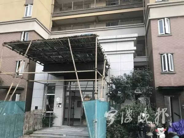 2025年澳门免费原料网