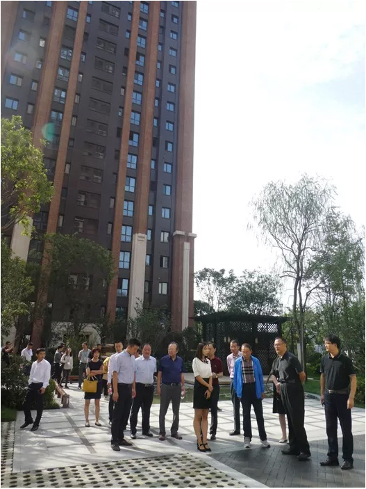 2025年澳门免费原料网